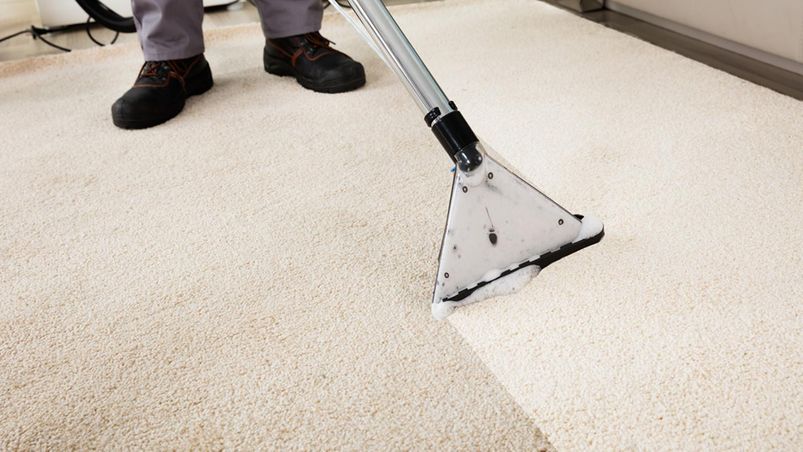Carpet Cleansing