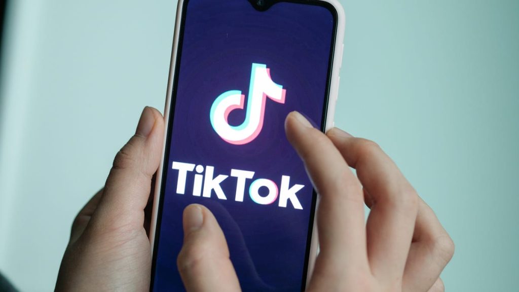 compare TikTok users