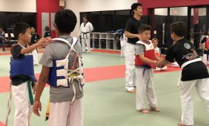 Taekwondo for Beginners – KTMA Has the Best Teachers for Taekwondo for Beginners